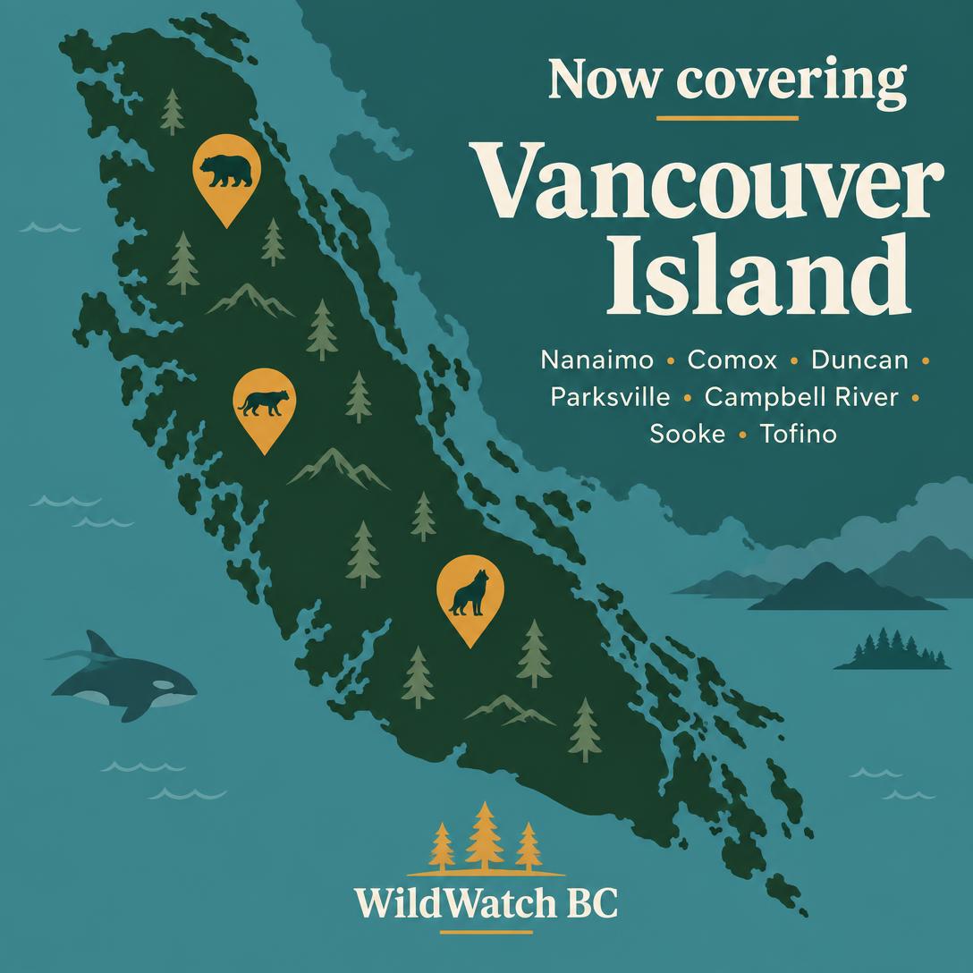 WildWatch BC — Vancouver Island — coverage announcement poster