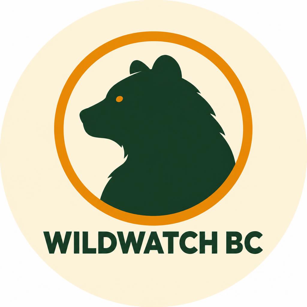 WildWatch BC — The bear logo